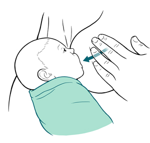 Mientras el bebé está succionando del pezón derecho, la mano izquierda masajea el tejido mamario en dirección al pezón y a la boca del bebé.